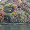 15 Arashiyama rio Katsura.JPG